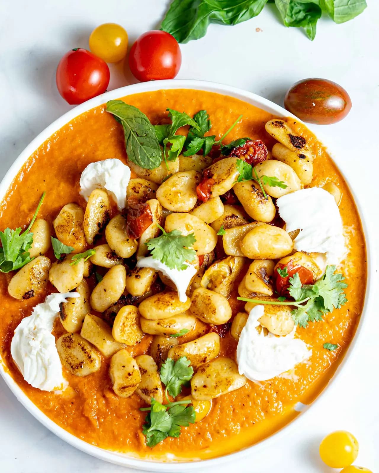 Golden gnocchi on a smooth tomato sauce with torn mozzarella, blistered cherry tomatoes and fresh herbs on a white plate