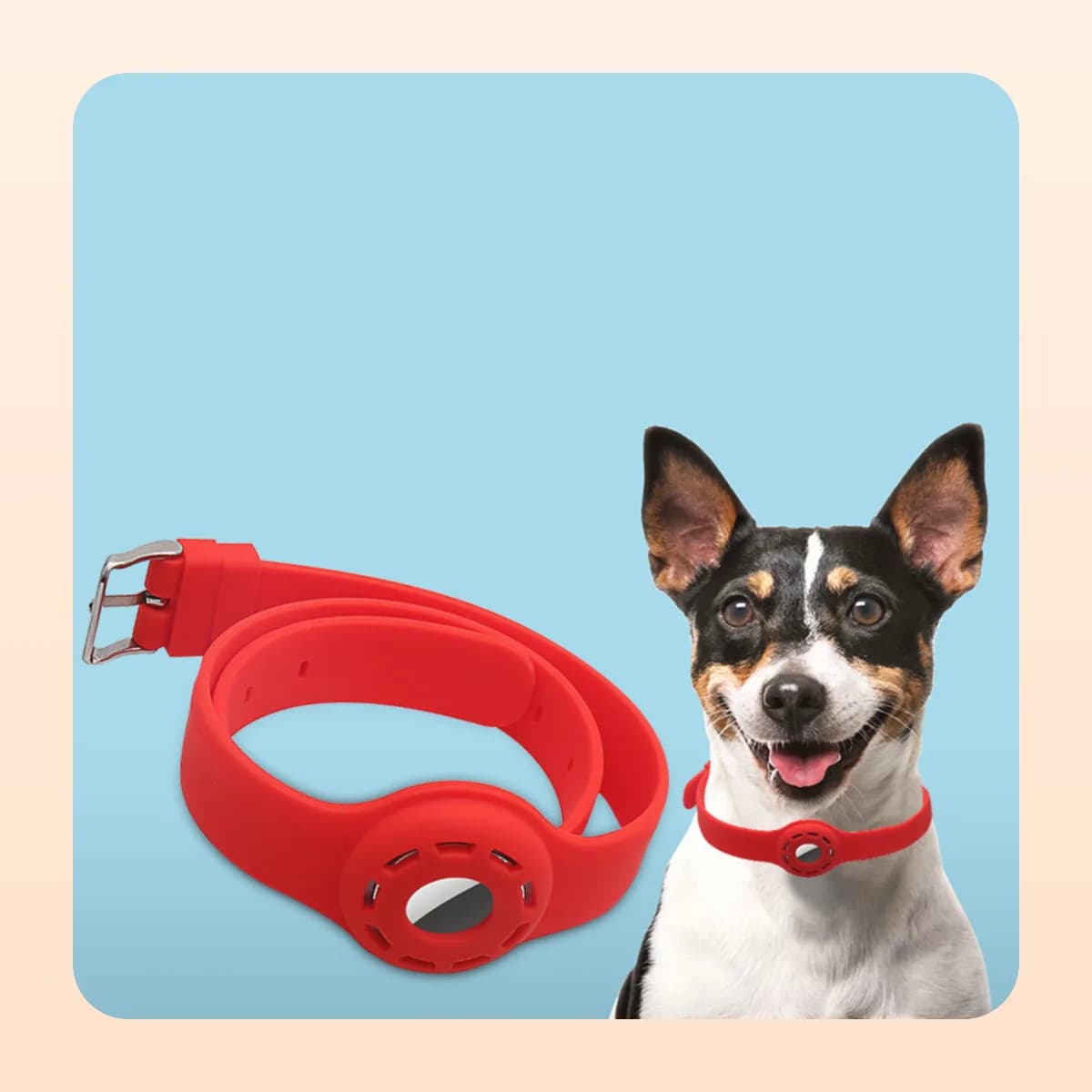 Dog wearing the Kindral AirTag collar in red