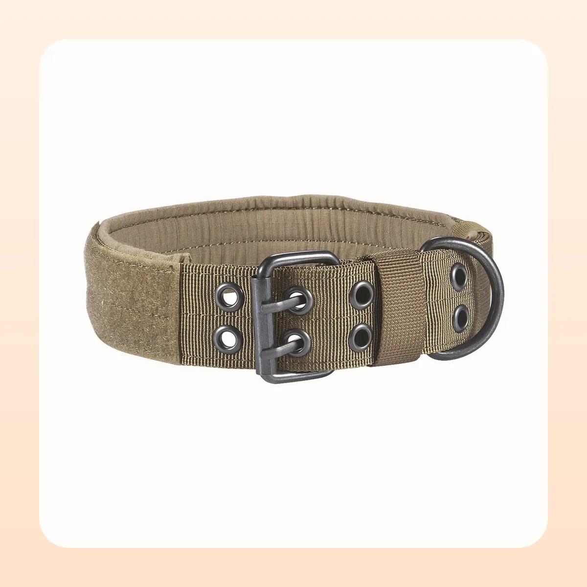 Kindral tactical nylon dog collar in brown