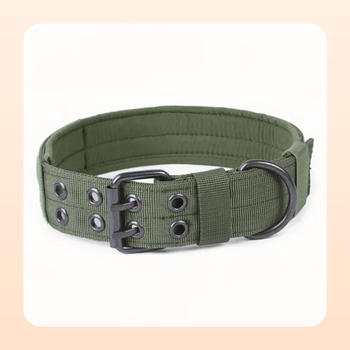 Close view of the Kindral collar's double-pin buckle and D-ring