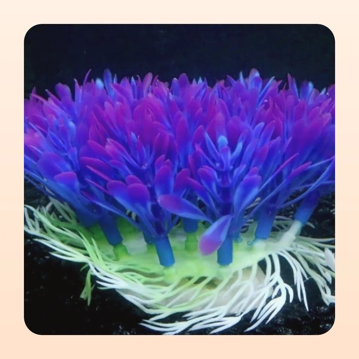 The Kindral anemone ornament seen from the side