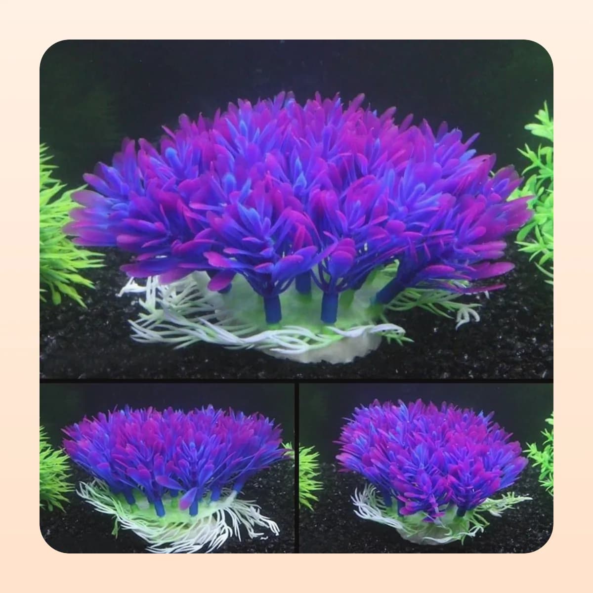 The Kindral anemone ornament among aquarium plants