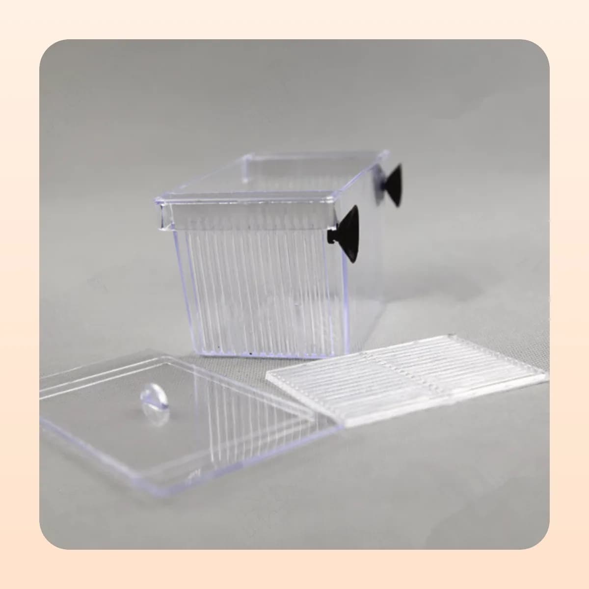 Kindral clear breeding and isolation box