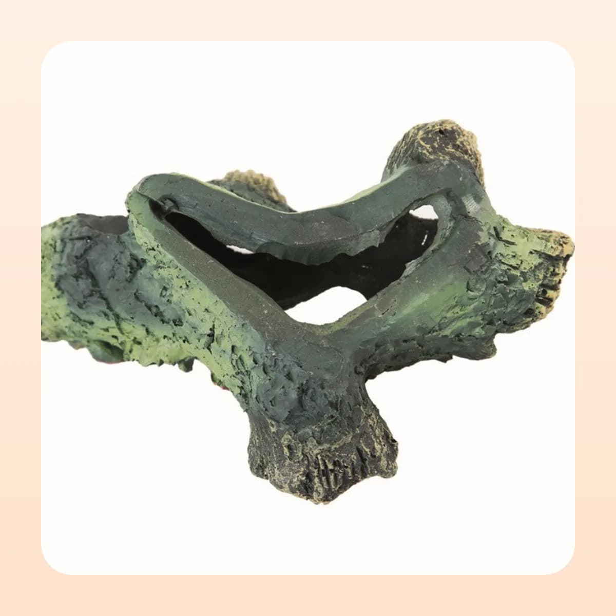 The hollow openings through the Kindral driftwood branch