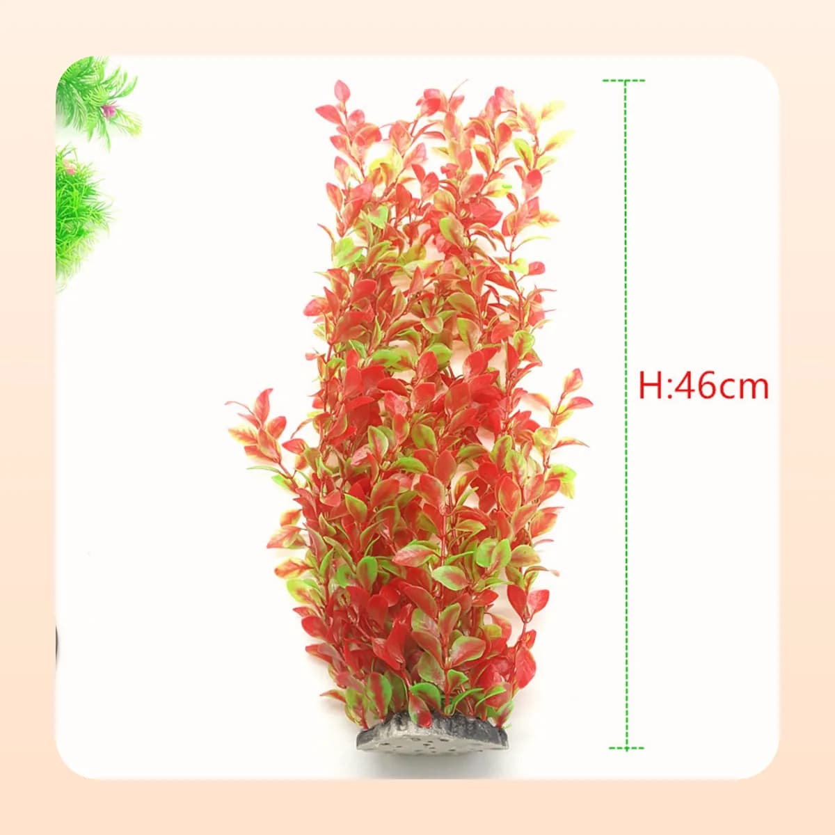 Kindral tall aquarium plant in orange