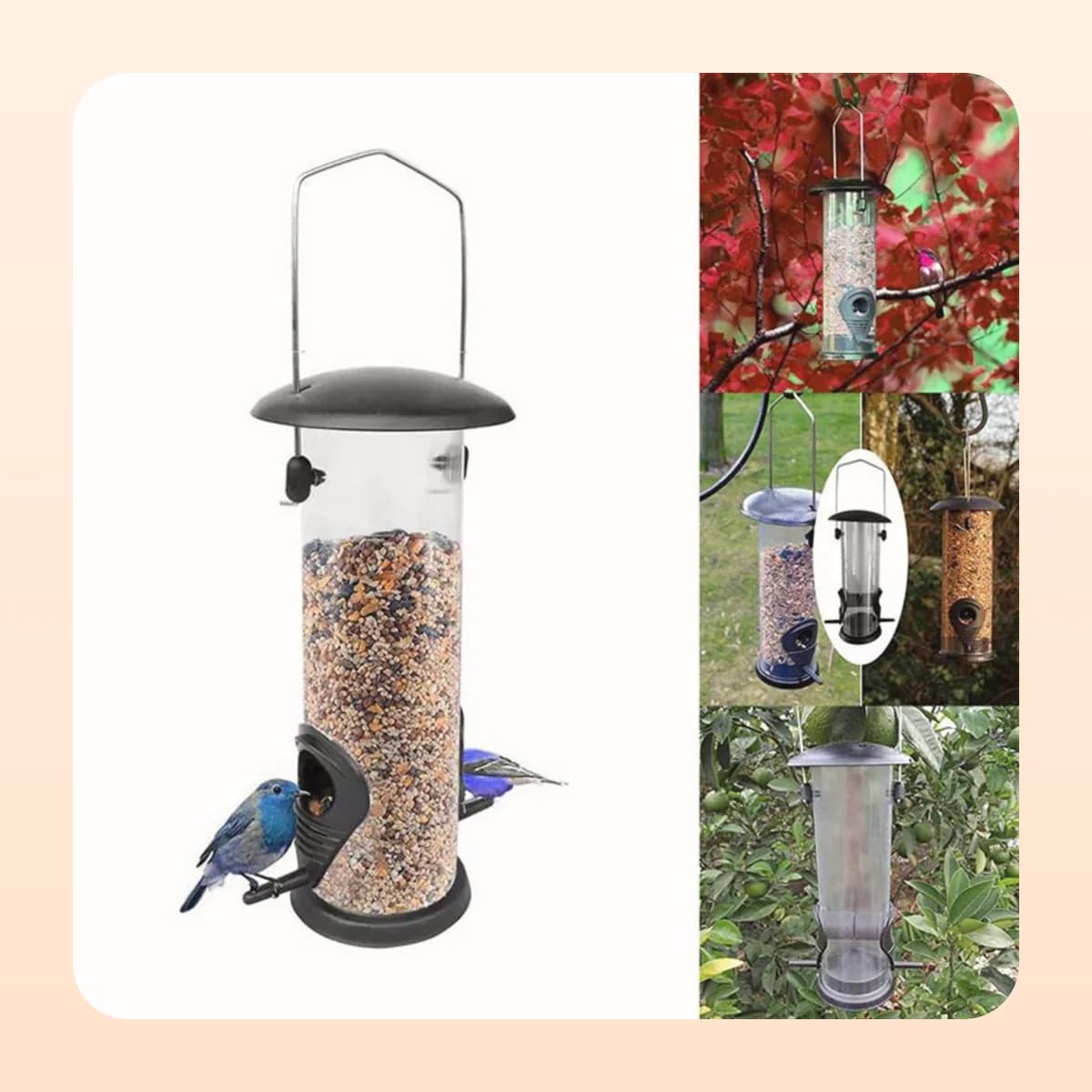 The Kindral seed feeder hanging outdoors
