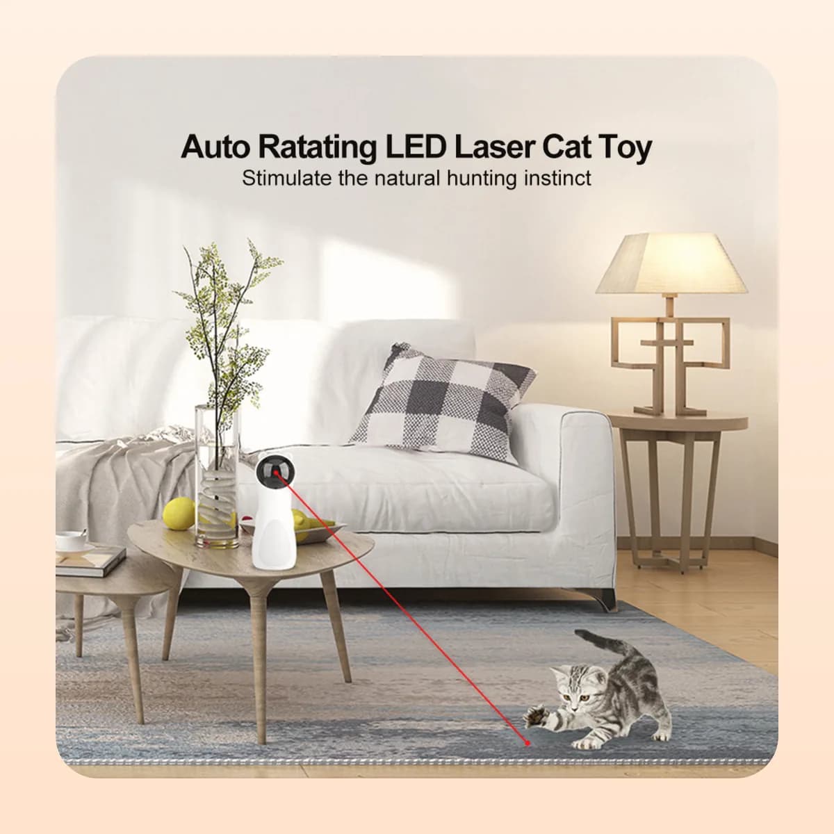 Cat chasing the beam across the floor from the Kindral laser tower