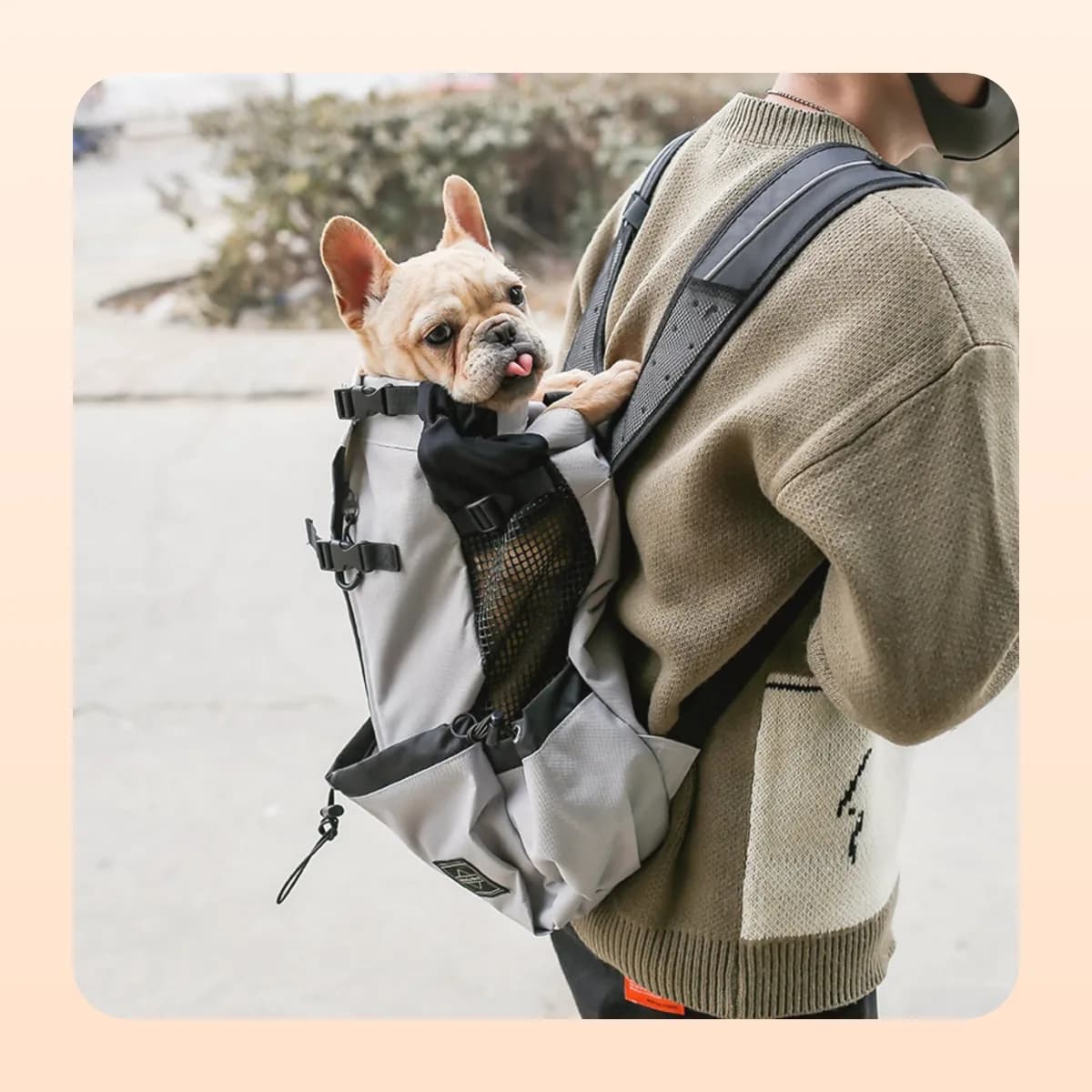 Kindral pet carrier backpack in red