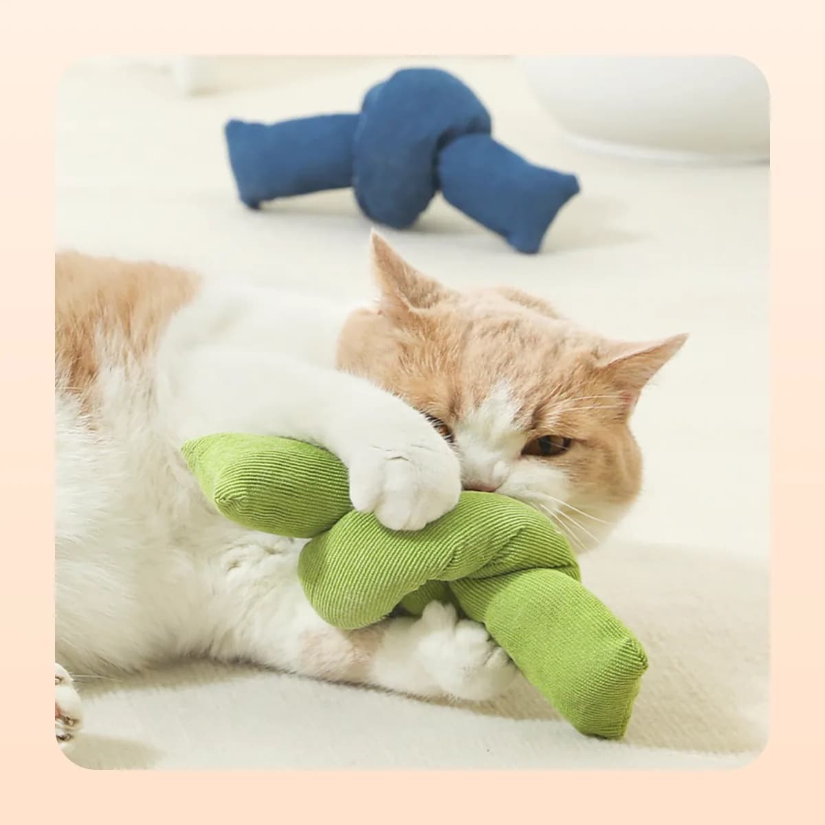 Cat holding a green Kindral catnip knot kicker