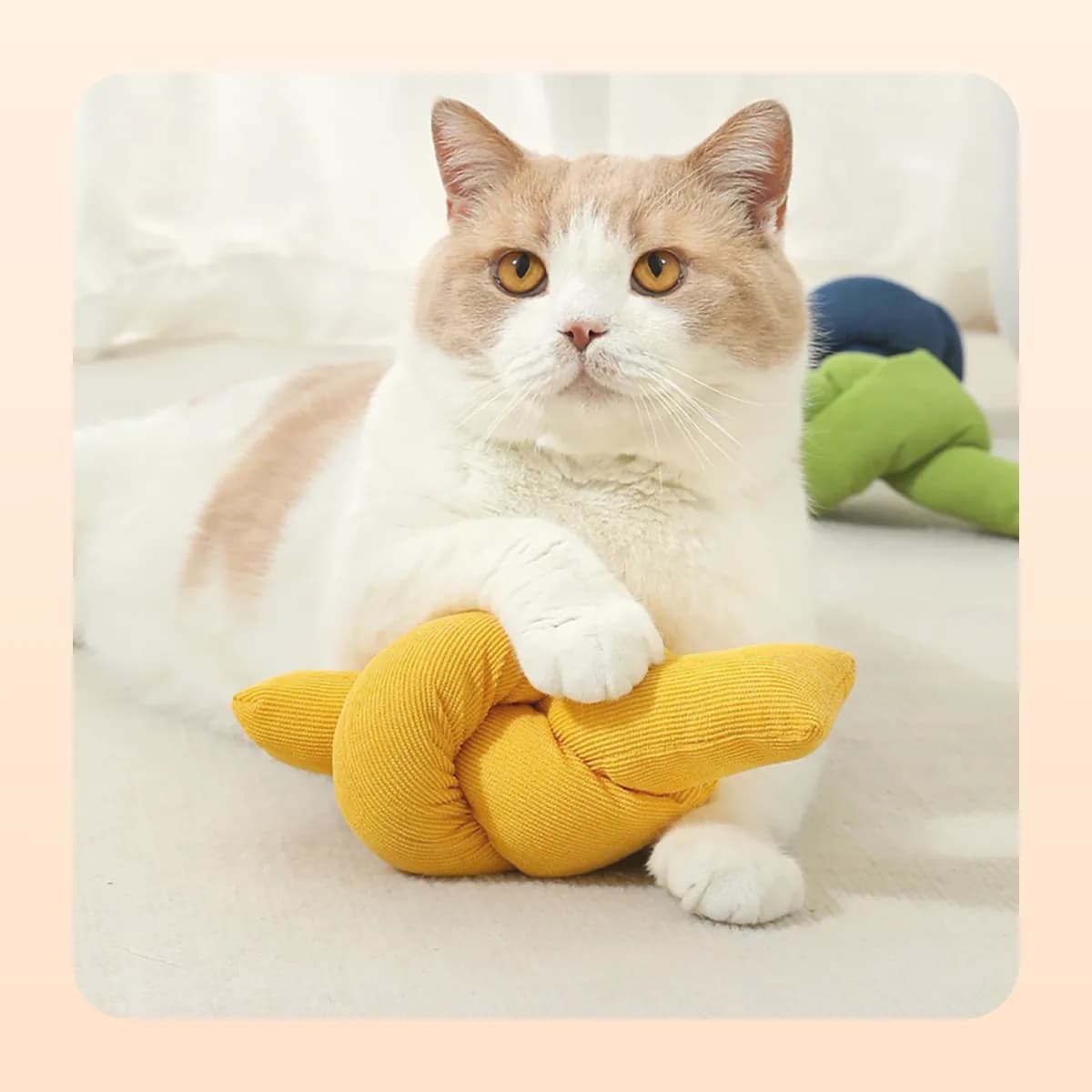 Cat gripping the yellow Kindral knot kicker