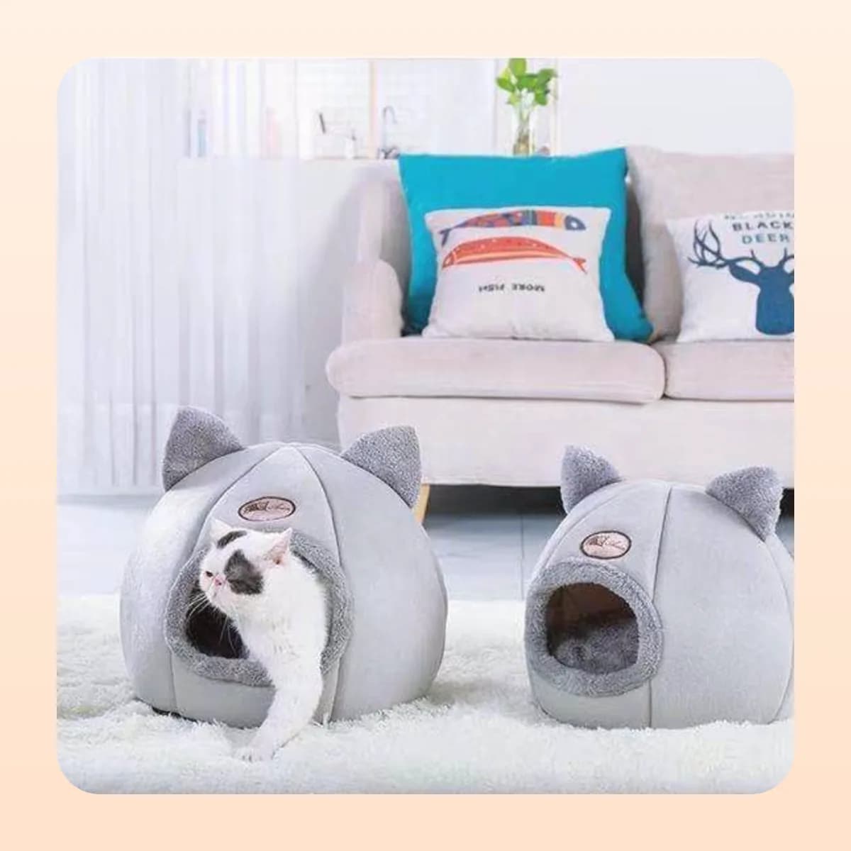 Two Kindral cave beds in a living room with a cat