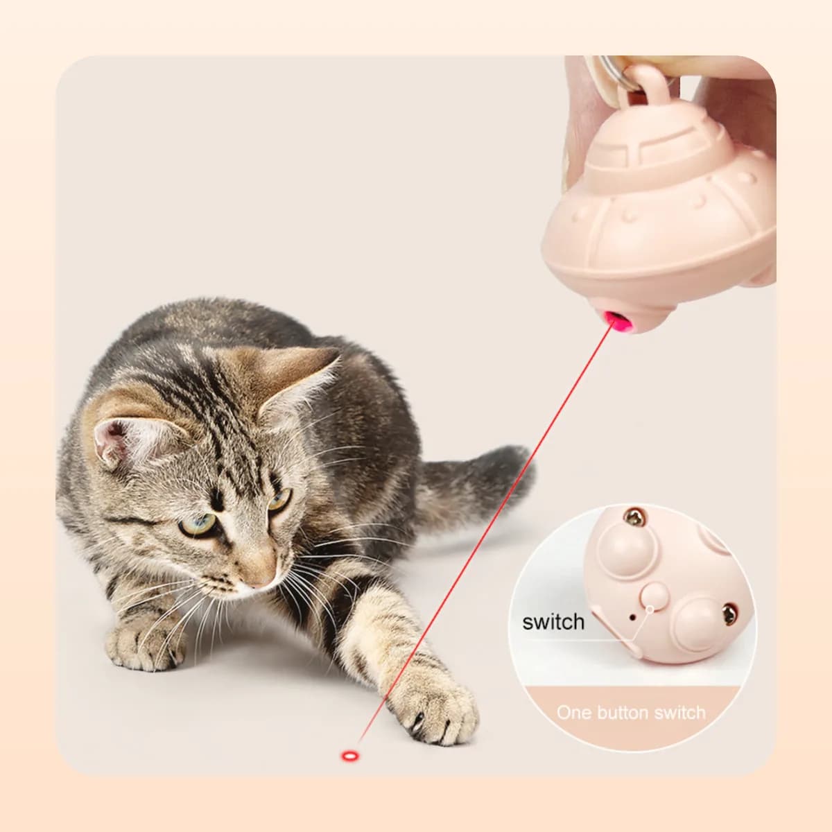 Cat chasing the dot from the Kindral collar laser pendant