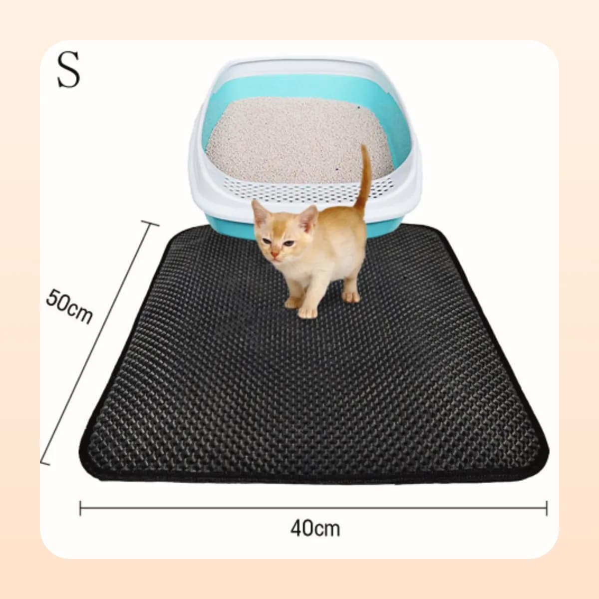 Kitten stepping off the Kindral litter mat beside a tray