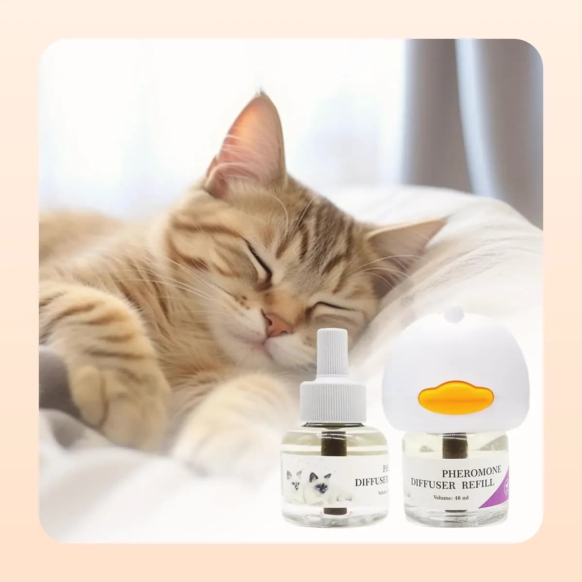 Cat asleep beside the Kindral pheromone diffuser refills