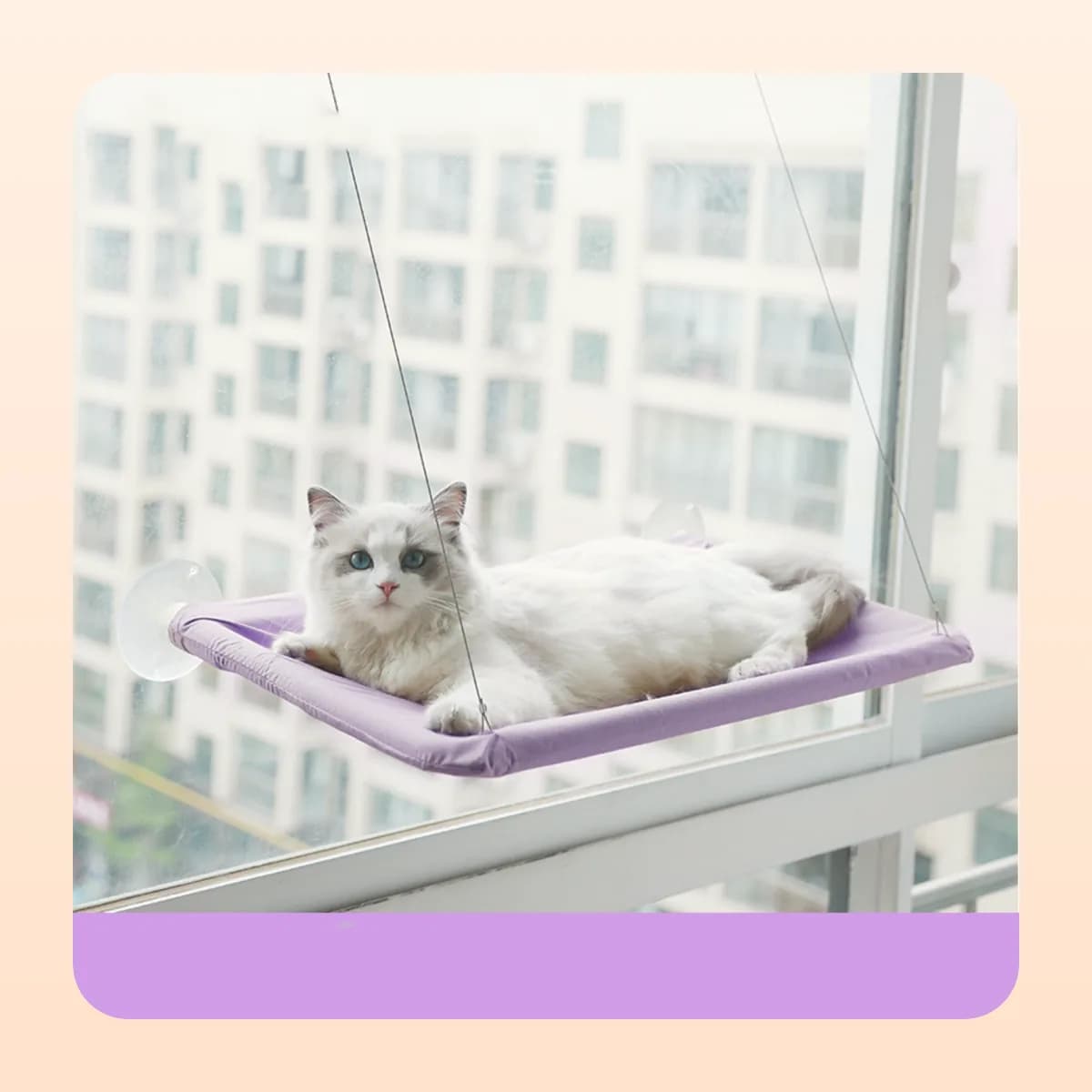 Cat resting in the Kindral window hammock perch