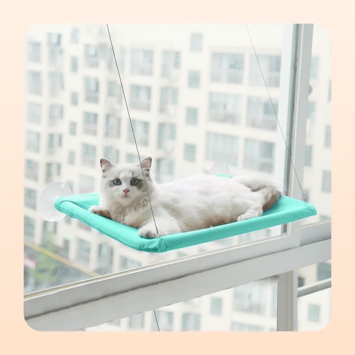 Kindral window hammock perch in teal