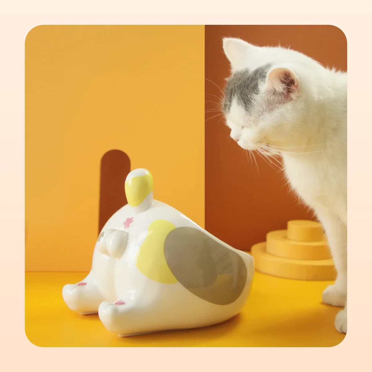 Cat approaching the Kindral tilted ceramic pet bowl