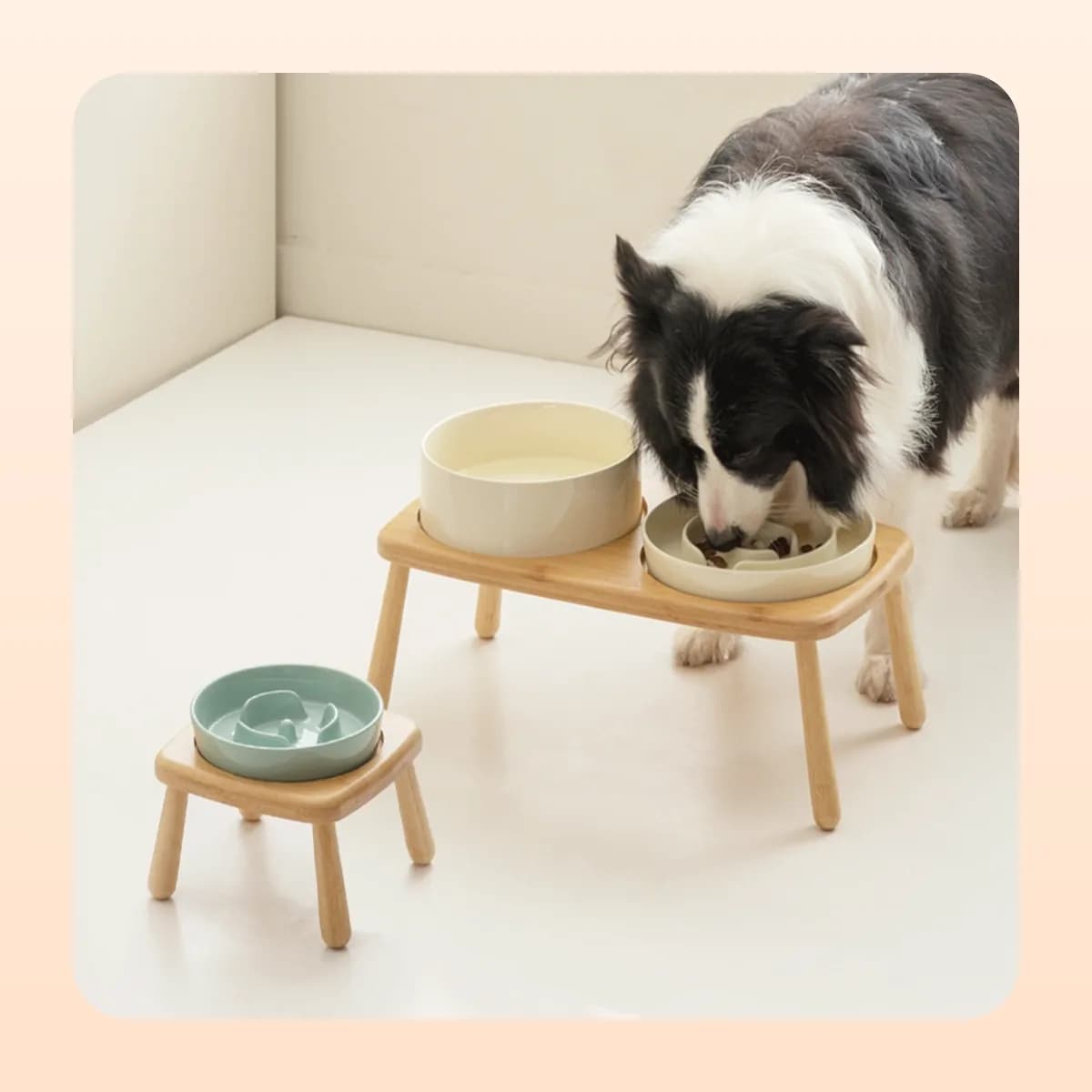 Dog eating from the Kindral ceramic slow feeder on its wooden stand