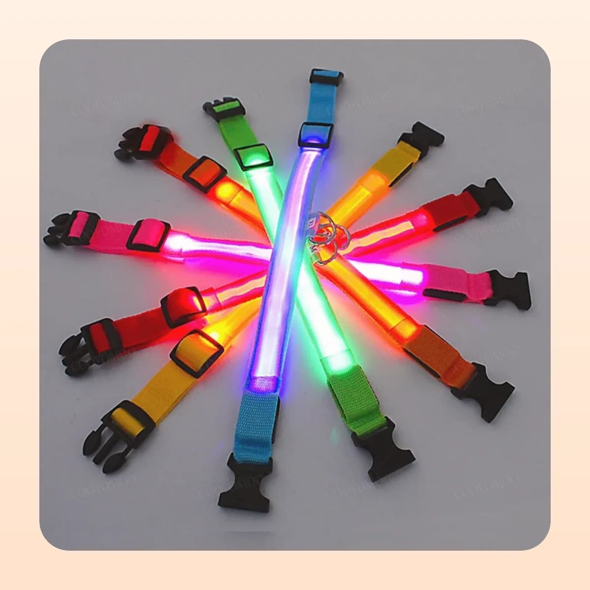 Kindral rechargeable LED dog collars in a range of colours