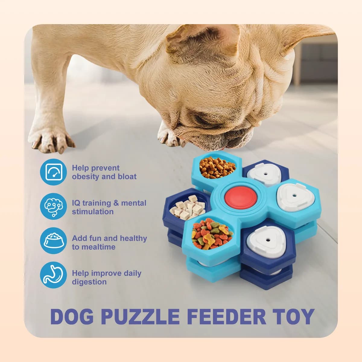 Bulldog nosing lids off the Kindral puzzle feeder
