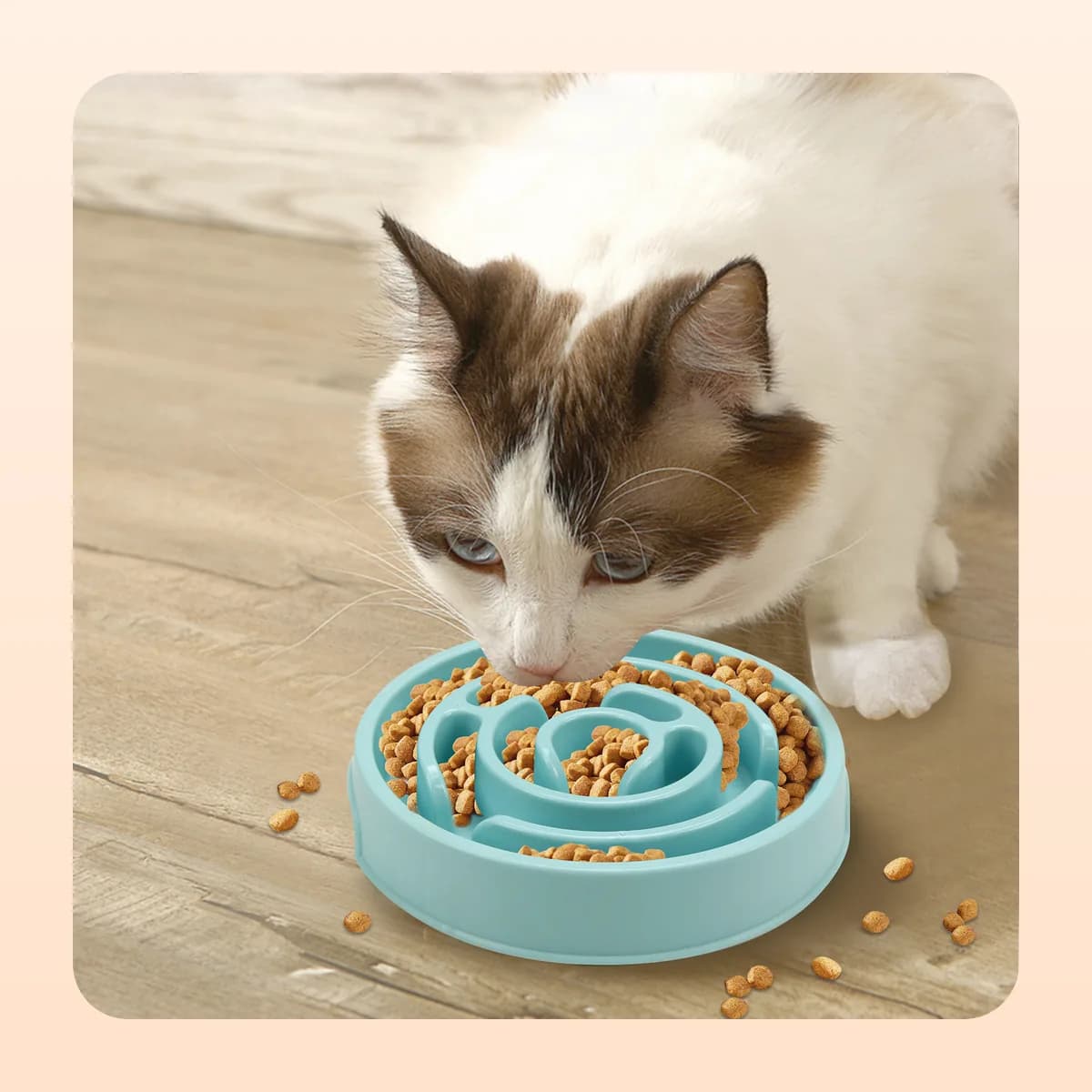 Cat eating from the Kindral slow feeder bowl