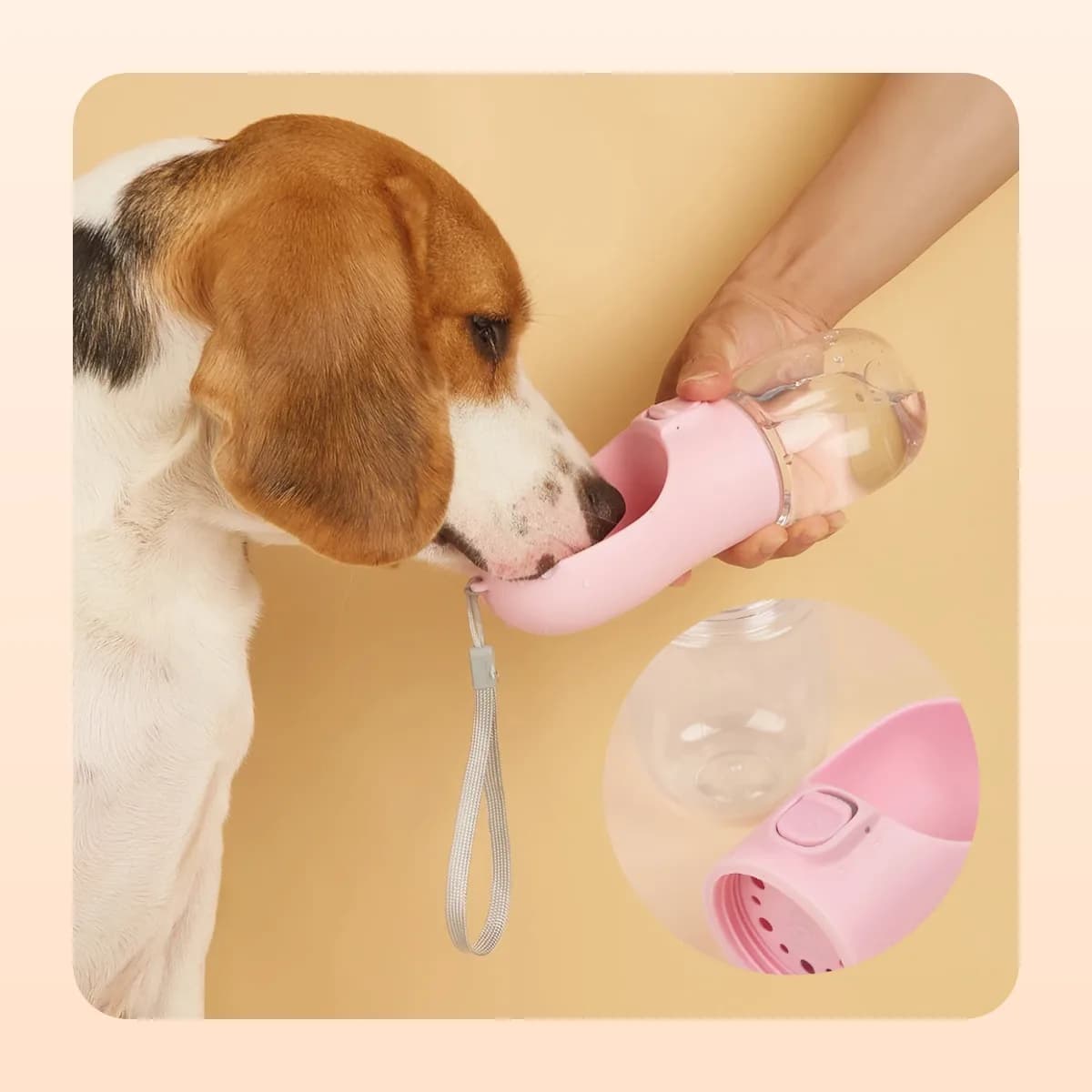 Dog drinking from the Kindral travel water bottle