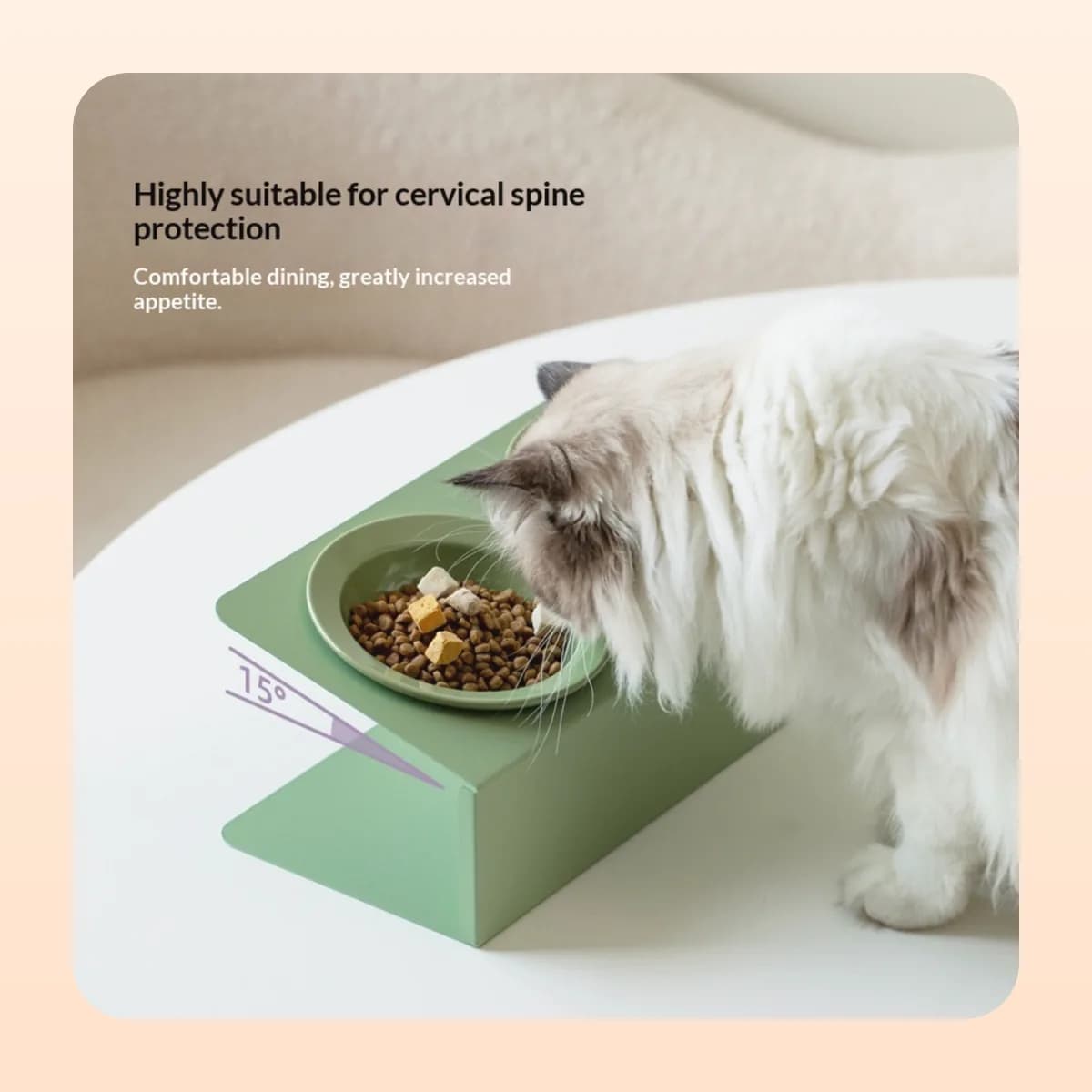 Cat eating from the Kindral tilted bowl at a fifteen degree angle