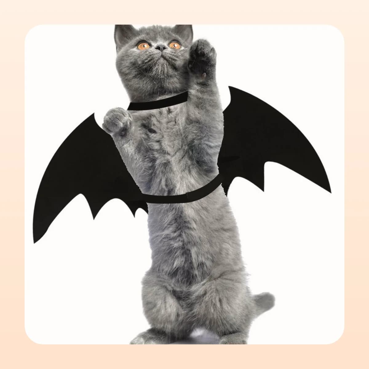 Grey cat wearing the Kindral felt bat wings