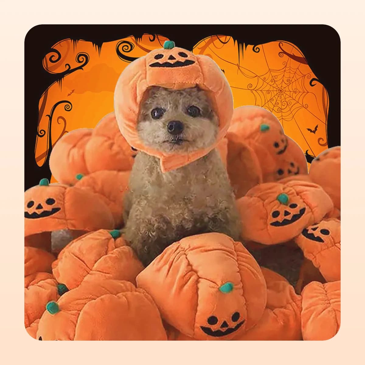 Small dog wearing the Kindral plush pumpkin hood