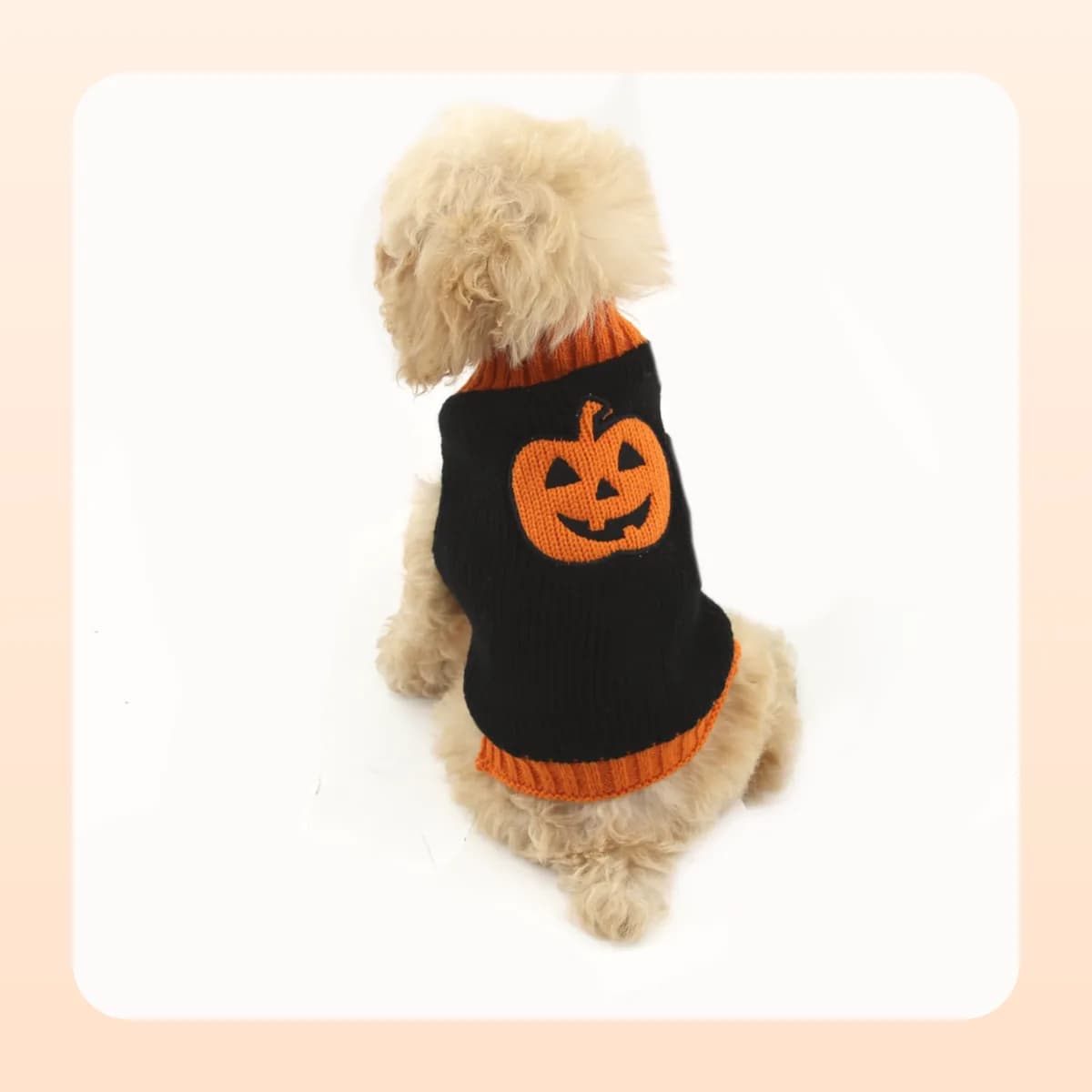 Poodle wearing the Kindral black knitted pumpkin jumper