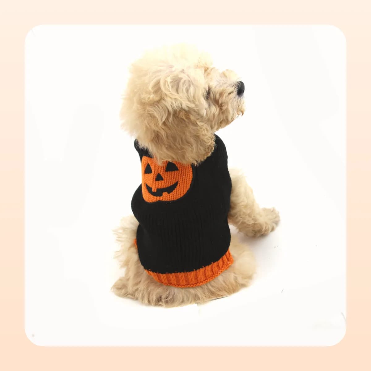Rear view of the knitted pumpkin motif on the Kindral jumper