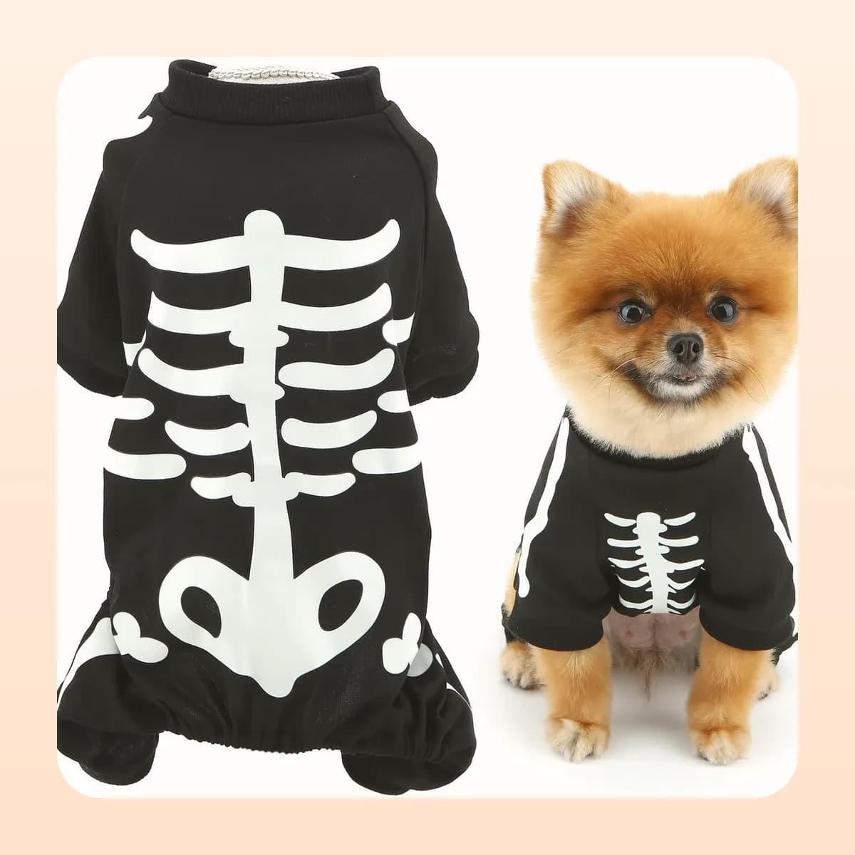 The Kindral glow skeleton jumpsuit shown flat beside a Pomeranian wearing it