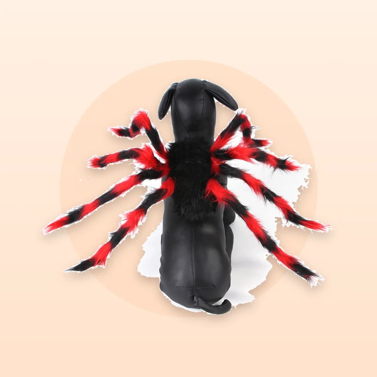 The Kindral spider costume in black and red on a display form