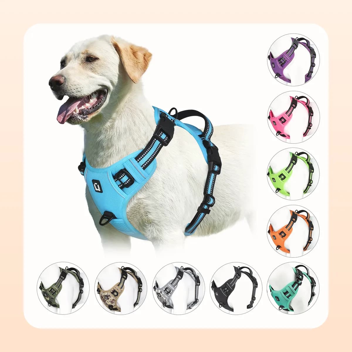 Kindral no-pull reflective dog harness in black