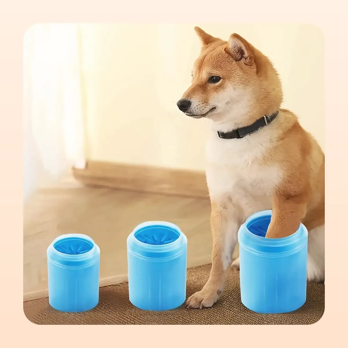 Shiba inu beside the Kindral paw cleaner cup
