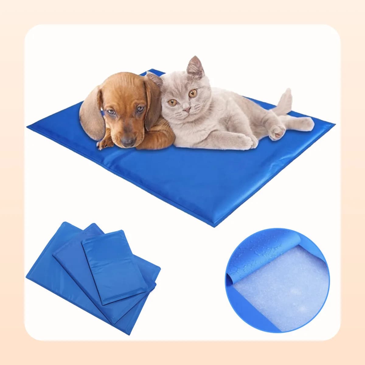 A dog and a cat sharing the Kindral cooling mat