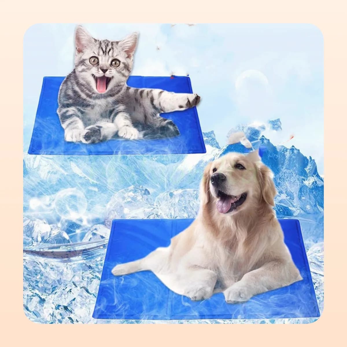 Cat and dog on Kindral cooling mats