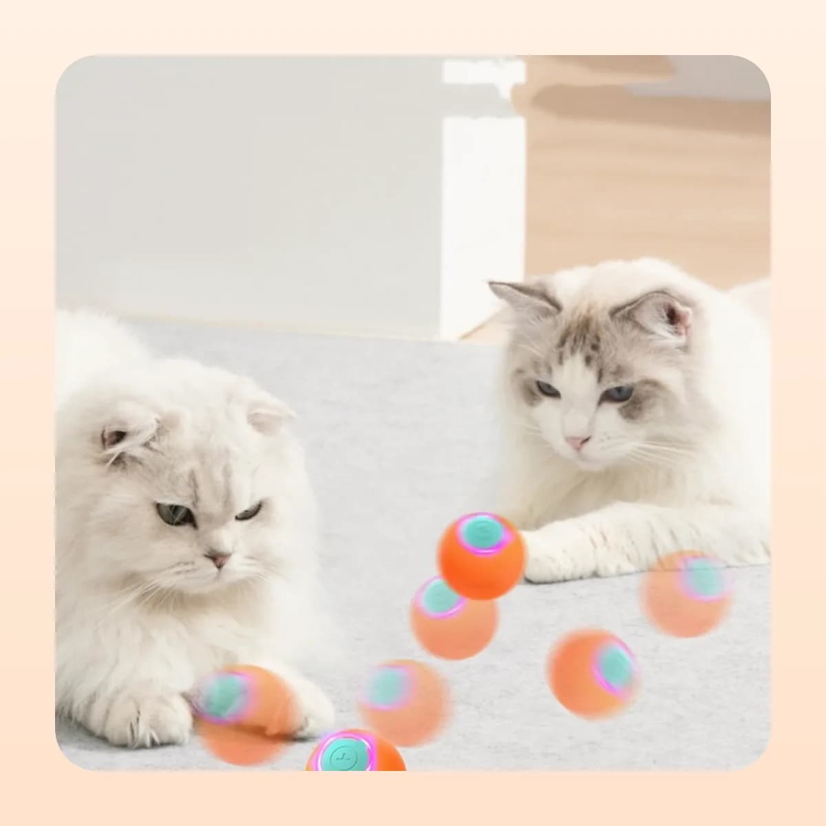 Two cats watching the Kindral rolling ball move across a rug
