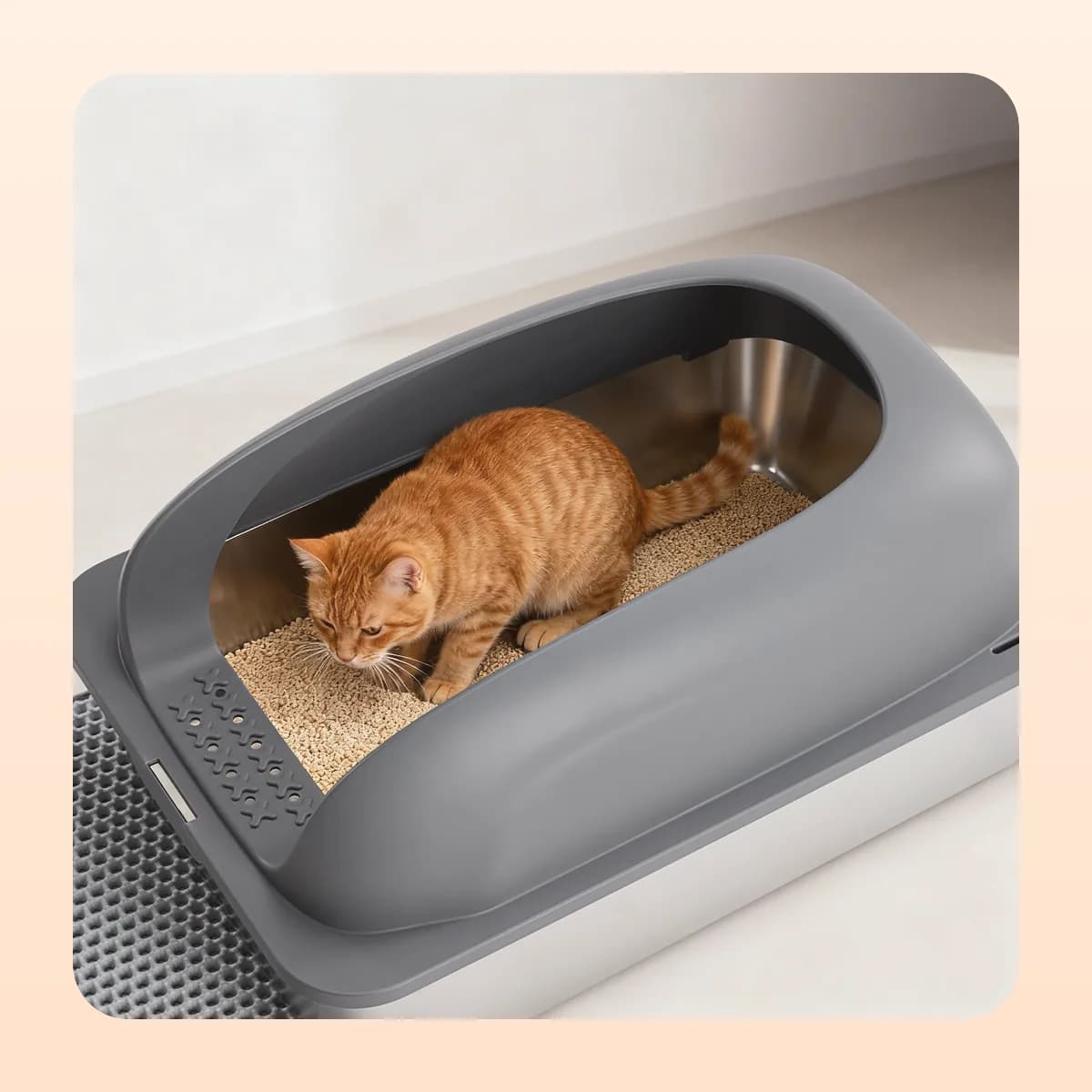 Ginger cat using the Kindral high-sided litter box