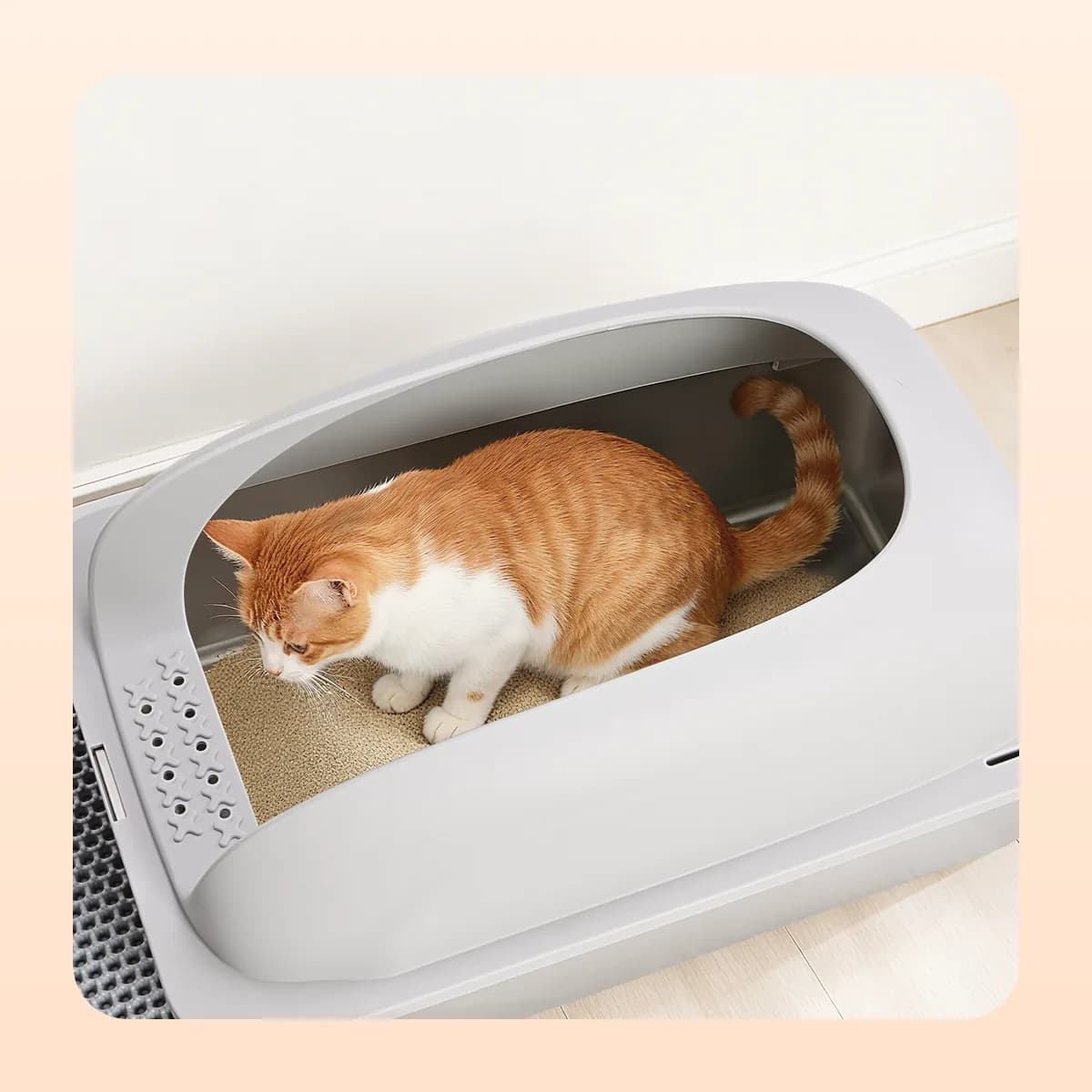 Cat digging in the Kindral steel litter box