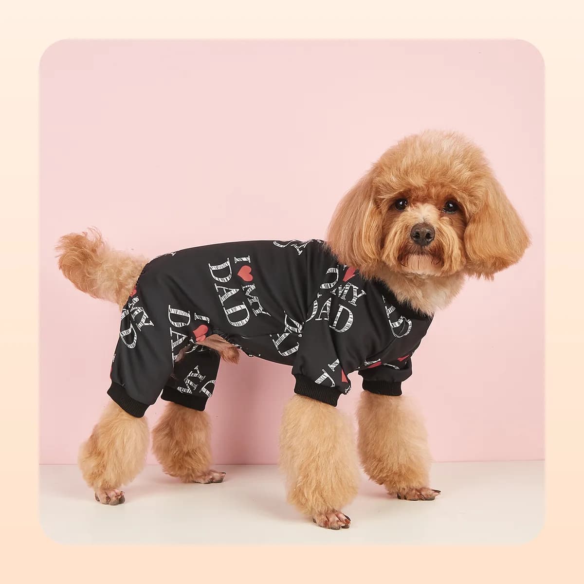 Poodle wearing the Kindral black printed pyjama suit