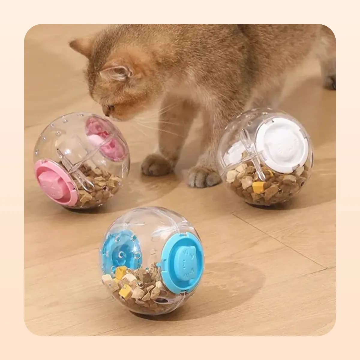 Kindral treat-dispensing ball with a white lid