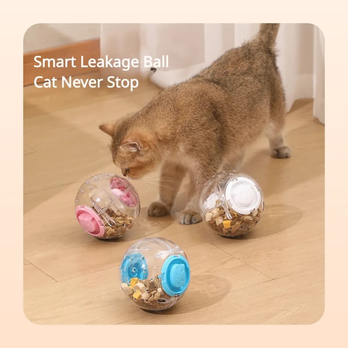 Cat nosing three Kindral treat-dispensing balls across the floor