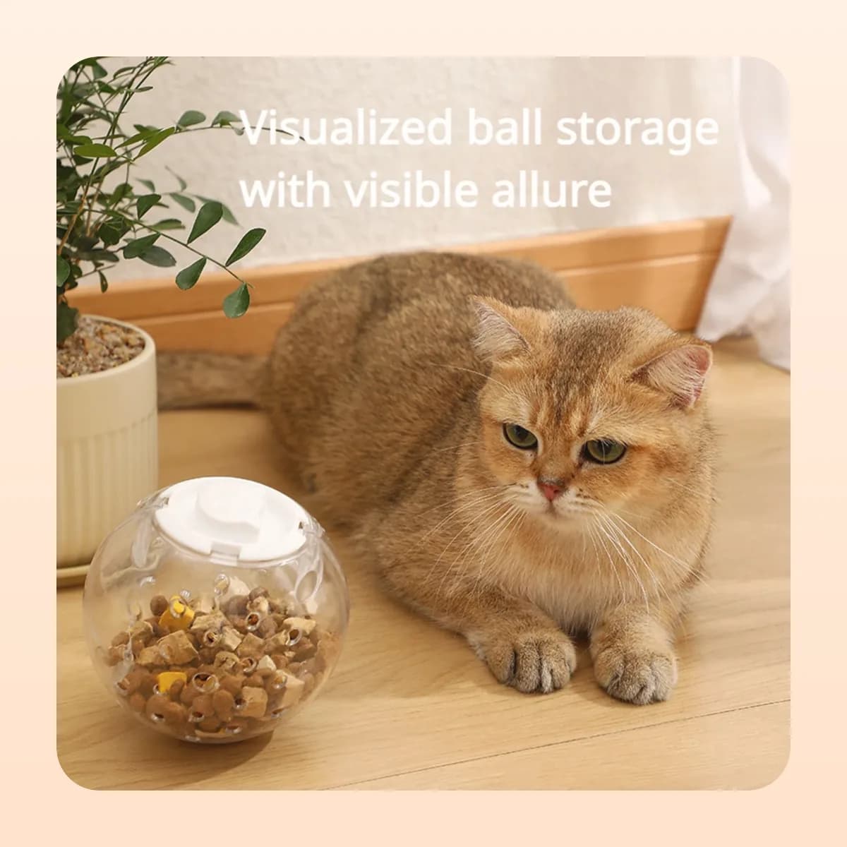 Cat resting beside a filled Kindral treat-dispensing ball
