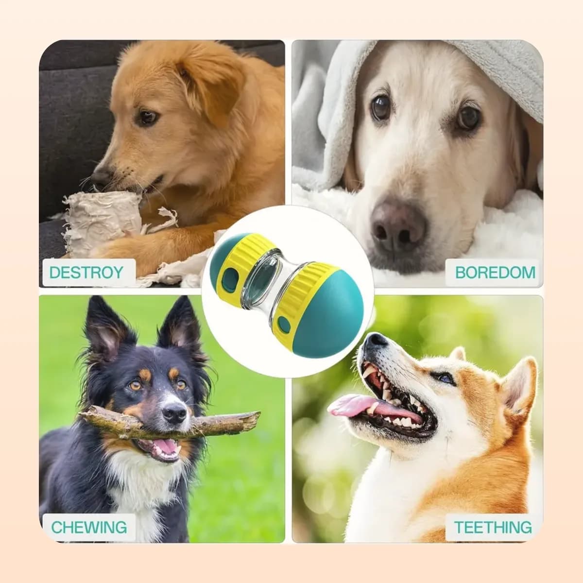 The Kindral IQ treat dispenser against destructive chewing and boredom