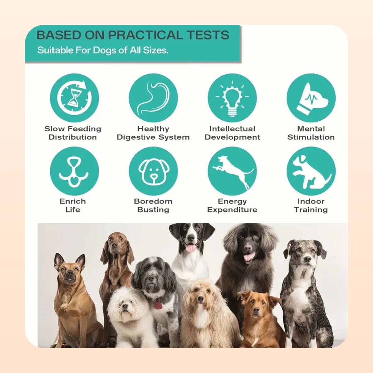 The Kindral IQ treat dispenser suits dogs of all sizes
