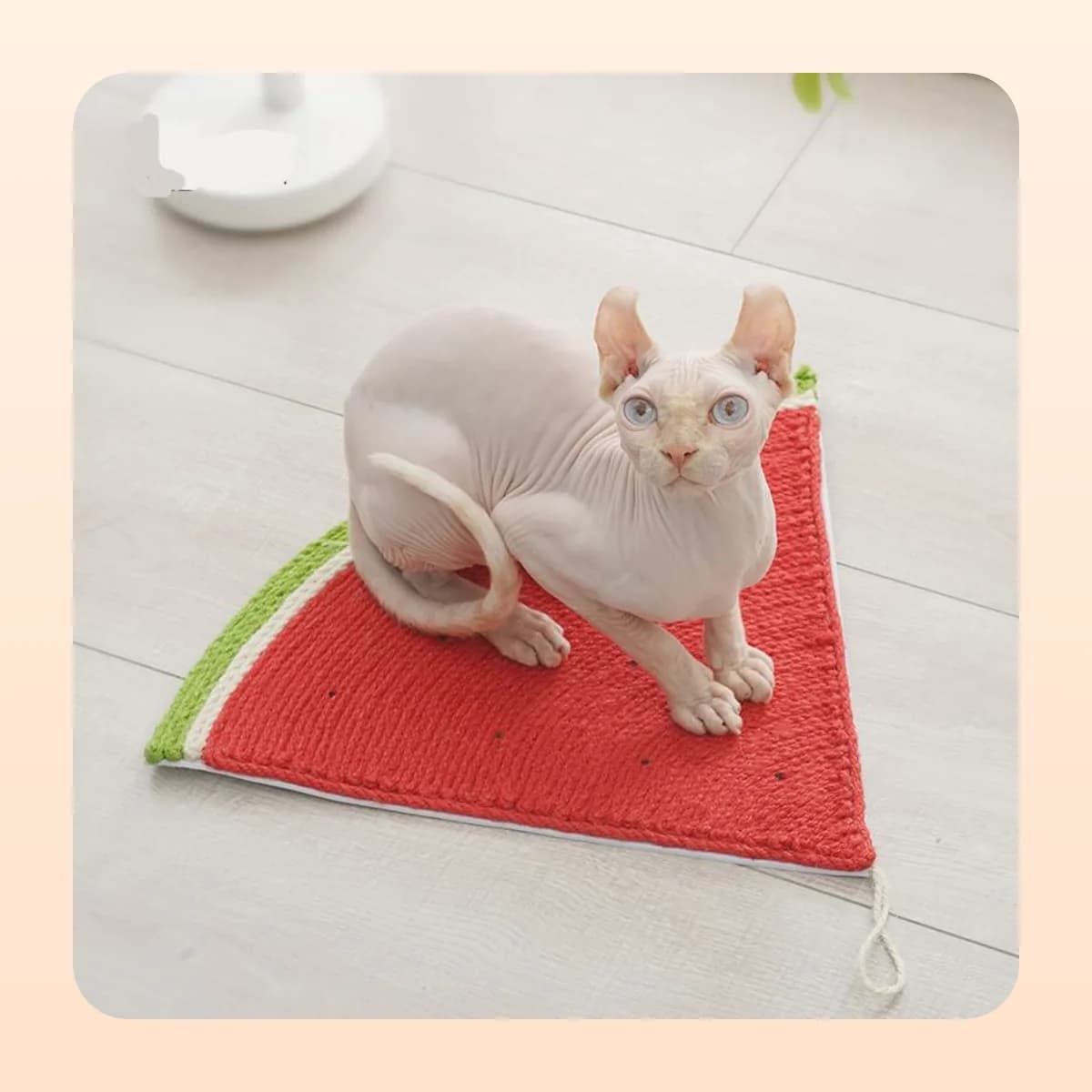 Cat on the triangle Kindral watermelon sisal mat