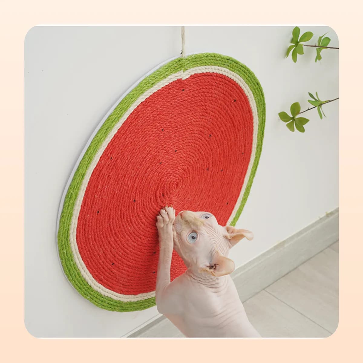 The round Kindral sisal mat hung flat against a wall