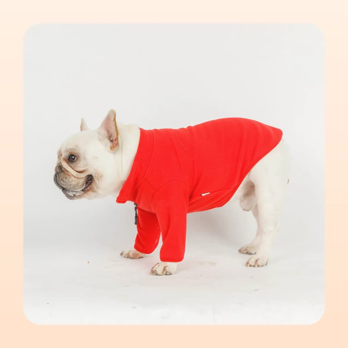 Side view of the Kindral fleece top on a French bulldog